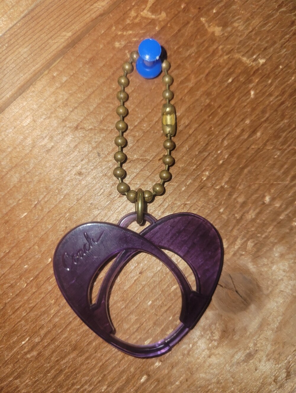 Coach Poppy Purple Heart Hangtag